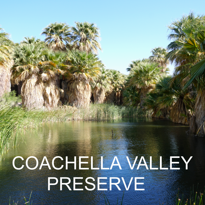 COACHELLA VALLEY PRESERVE