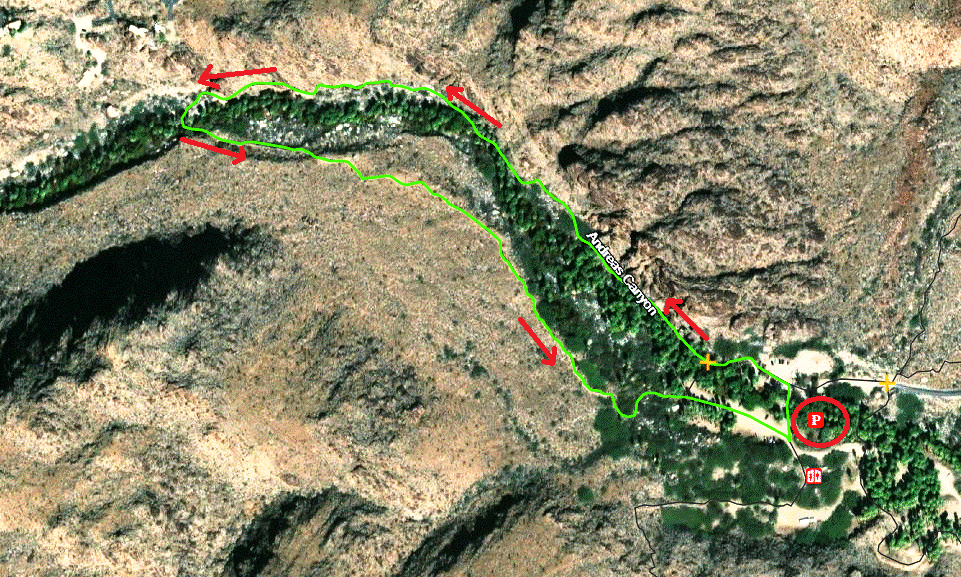 Indian-Canyons-Andreas-Canyon