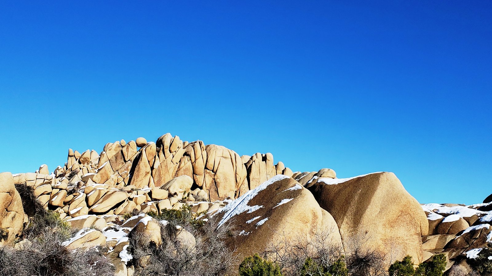 Joshua Tree