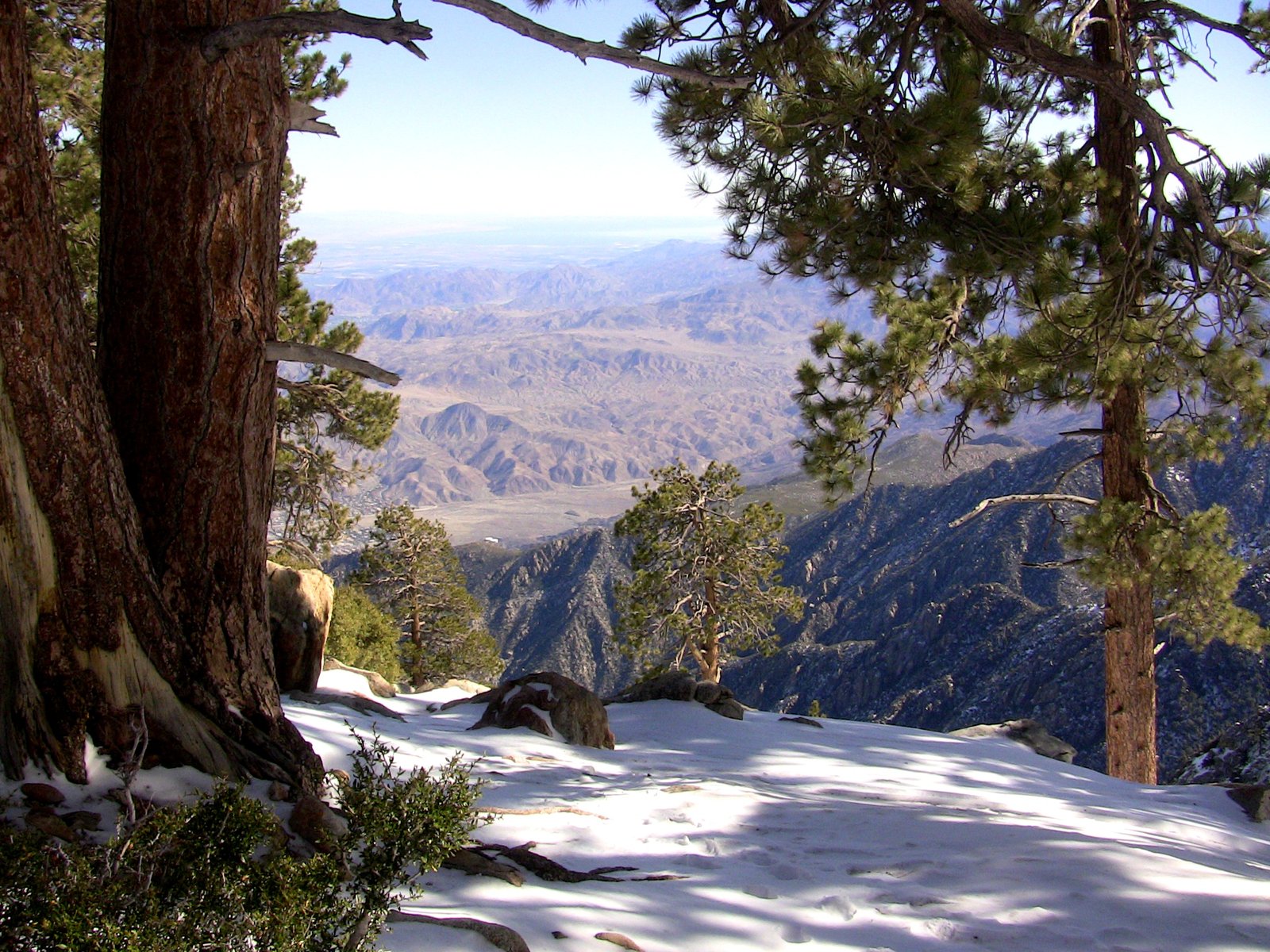 Station de tramway de Palm Springs