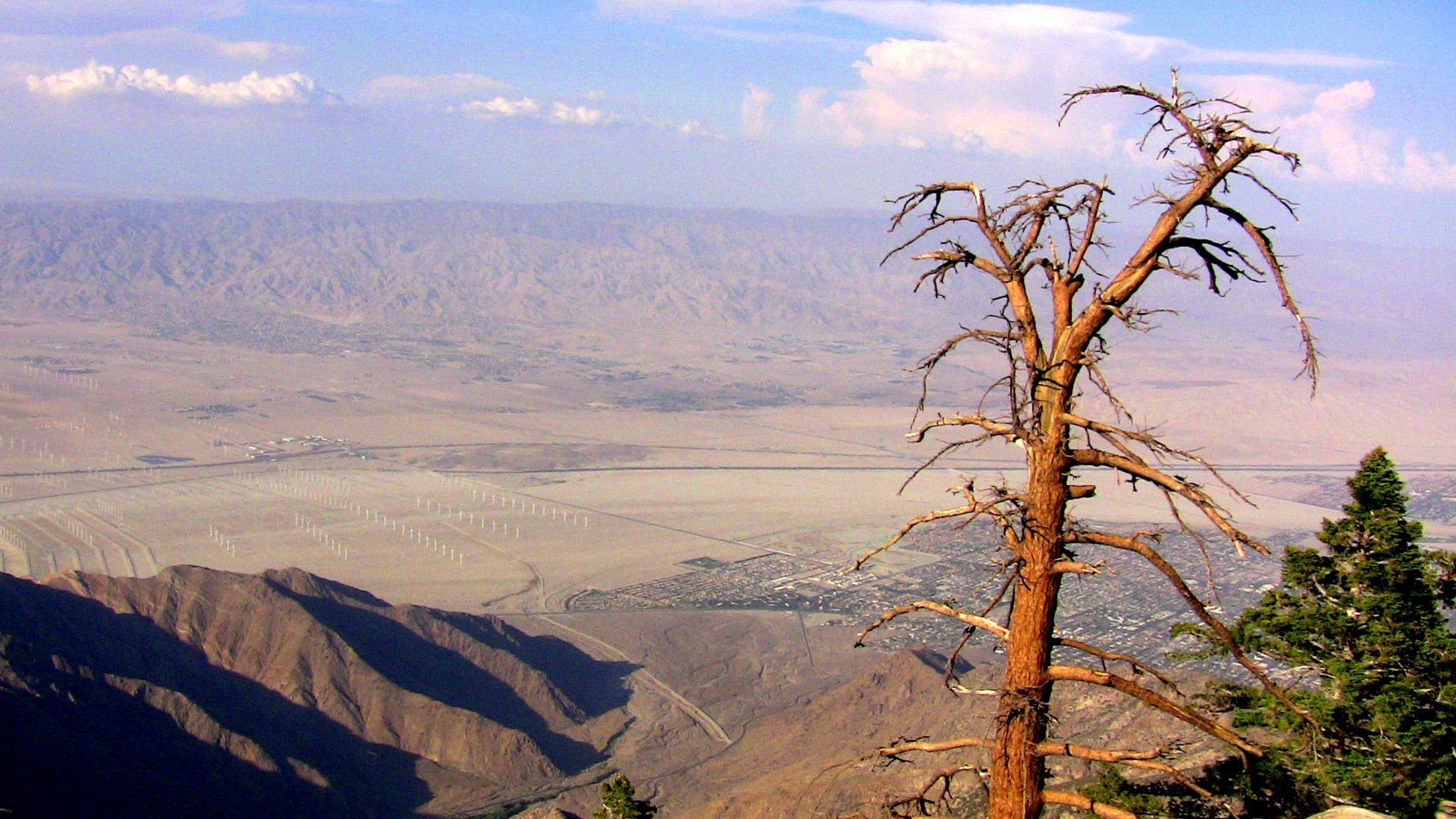 tramway de Palm Springs